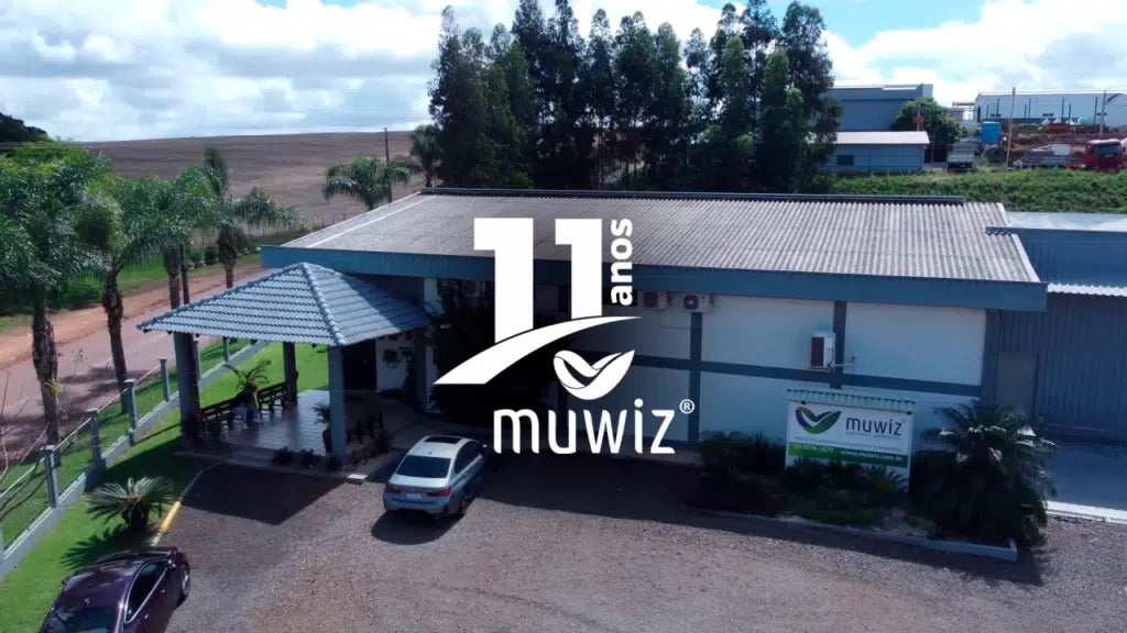 11 Anos de Muwiz: Uma Jornada de Paixão, Inovação e Sonhos