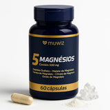 5 Magnésios 500mg C/60 Cáps
