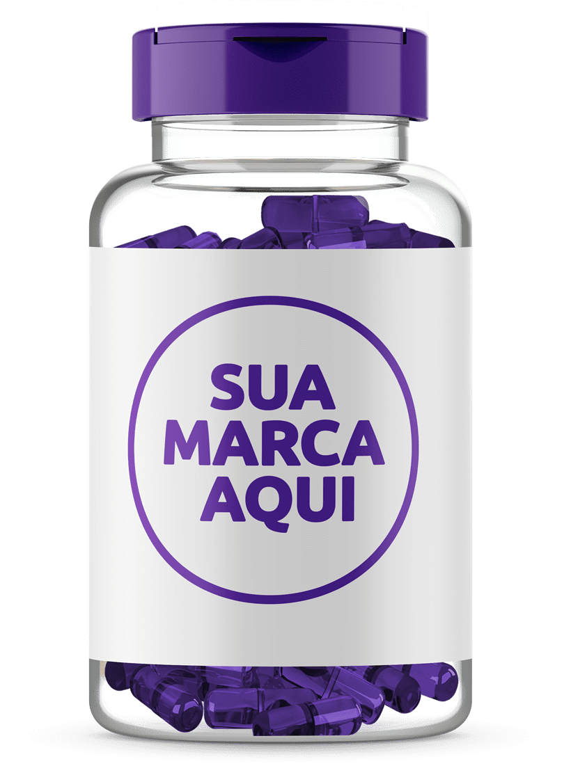 Terceirização 13 hththt